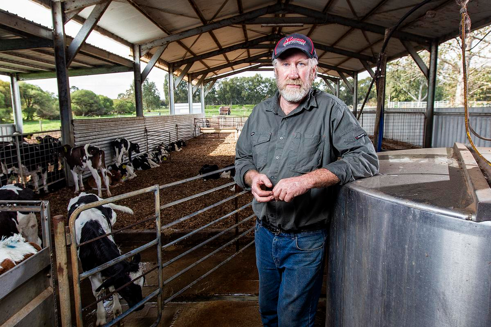 Australian Dairy Farmers Struggle Amid Rising Costs