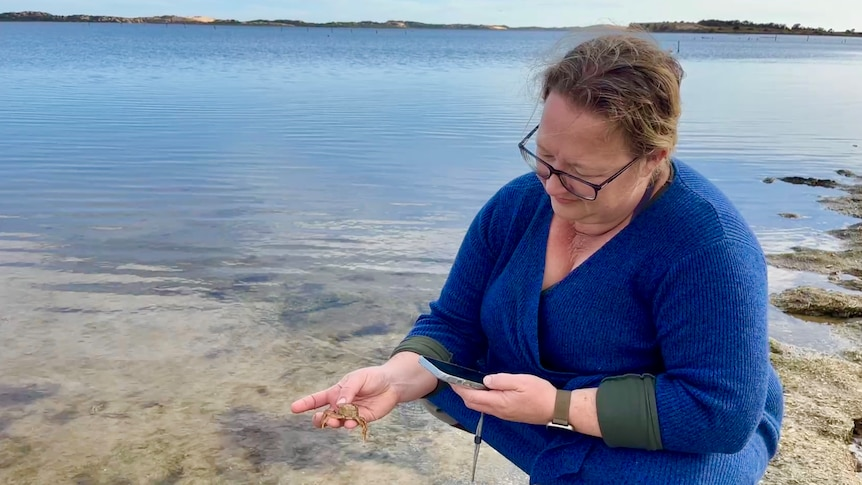Coorong’s Deadly Algal Bloom: A Wake-Up Call for Australia
